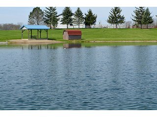 Property photo 32 - REAL ESTATE & PERSONAL PROPERTY AUCTION - 23.5+/- ACRES OFFERED IN 3 TRACTS OR COMBINATIONS IN EAST ALLEN COUNTY